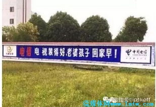 流媒体网视角下的IPTV发展 2015-2016年基础电信业务的转型与布局