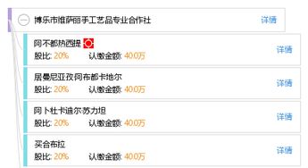博乐市维萨丽手工艺品专业合作社企业信息分析与合规审查
