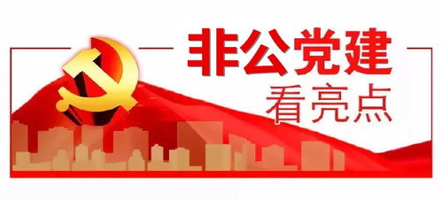 深化非公党建创新实践，拓展‘两个覆盖’夯实基础电信业务根基